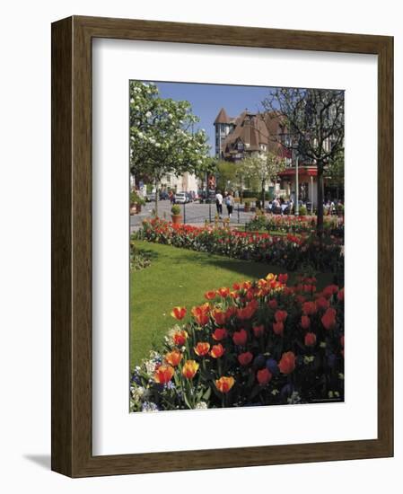 Flower Beds with Tulips in Town Centre, Deauville, Calvados, Normandy, France-David Hughes-Framed Photographic Print