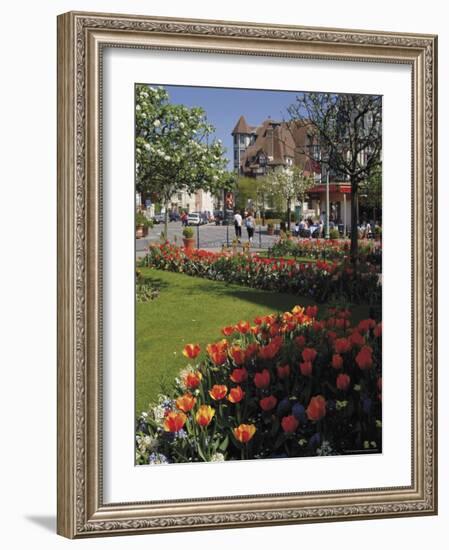 Flower Beds with Tulips in Town Centre, Deauville, Calvados, Normandy, France-David Hughes-Framed Photographic Print