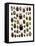 Flower Beetle Poster Cetonidae-Darrell Gulin-Framed Premier Image Canvas