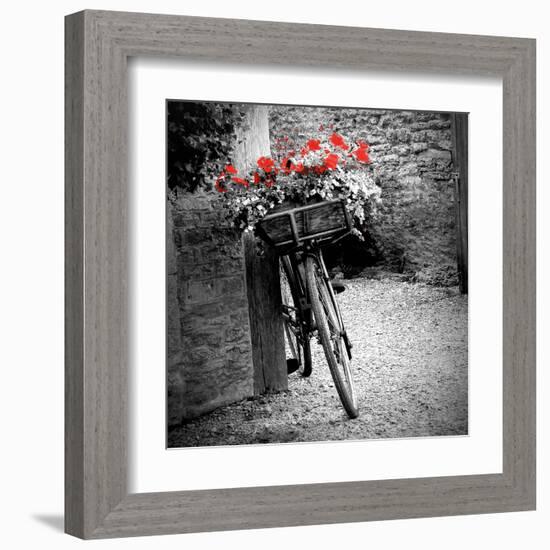 Flower Bike Square with Border-Gail Peck-Framed Art Print