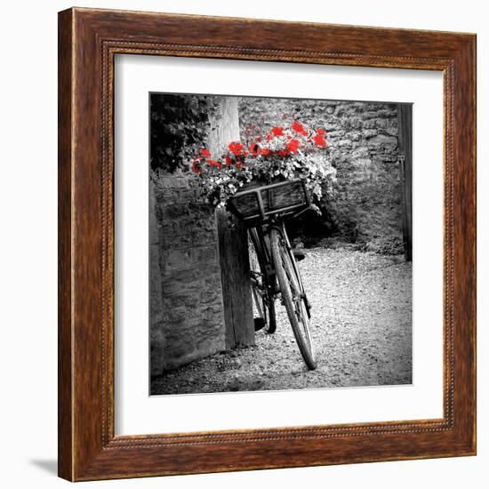 Flower Bike Square with Border-Gail Peck-Framed Art Print