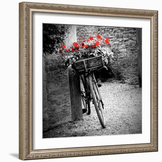 Flower Bike Square with Border-Gail Peck-Framed Art Print