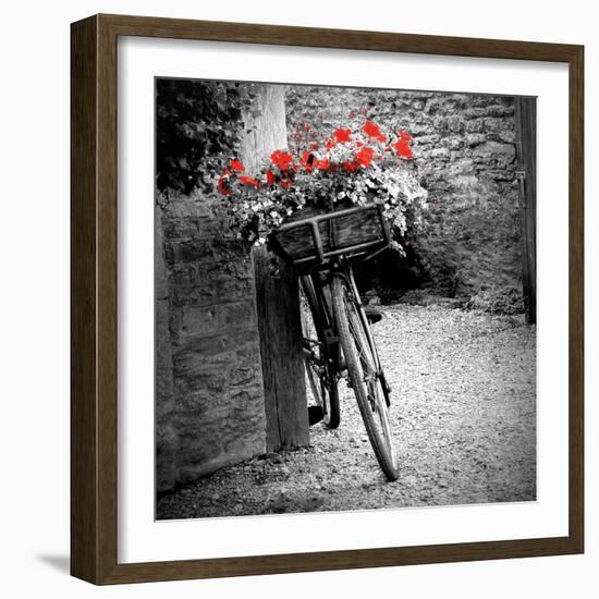 Flower Bike Square with Border-Gail Peck-Framed Art Print