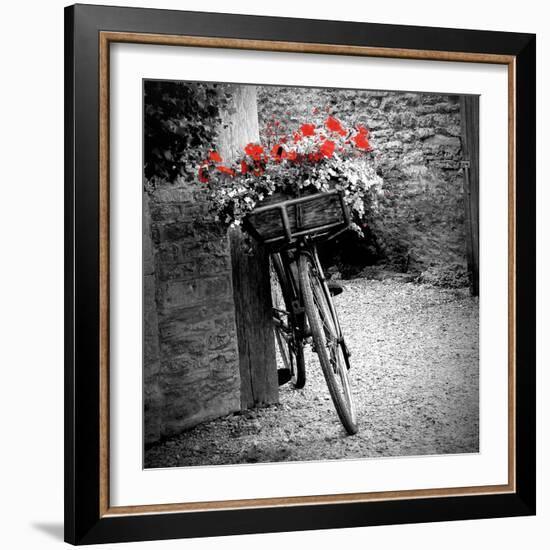 Flower Bike Square with Border-Gail Peck-Framed Art Print