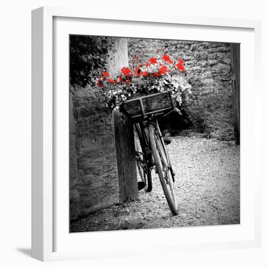 Flower Bike Square with Border-Gail Peck-Framed Art Print