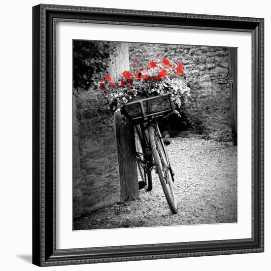 Flower Bike Square with Border-Gail Peck-Framed Art Print