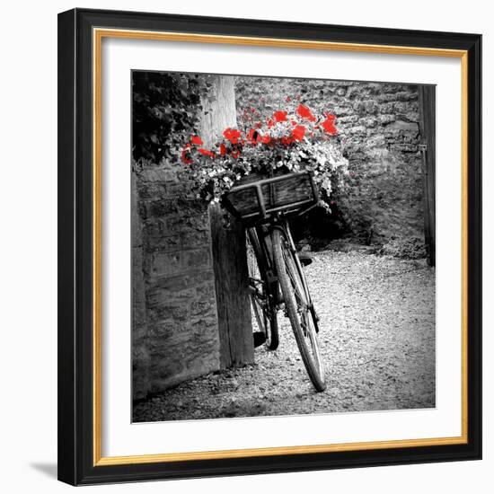 Flower Bike Square with Border-Gail Peck-Framed Art Print