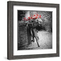 Flower Bike Square-Gail Peck-Framed Art Print