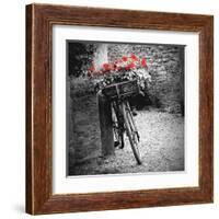 Flower Bike Square-Gail Peck-Framed Art Print