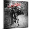 Flower Bike Square-Gail Peck-Mounted Art Print