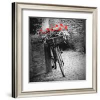 Flower Bike Square-Gail Peck-Framed Art Print