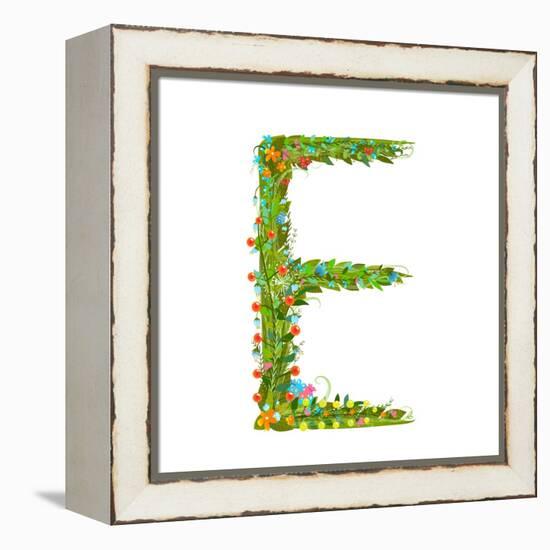 Flower Blossom Decorative Botanical Elegant Alphabet Letter E. Flower ABC Sign E. Floral Summer Col-Popmarleo-Framed Stretched Canvas