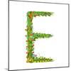 Flower Blossom Decorative Botanical Elegant Alphabet Letter E. Flower ABC Sign E. Floral Summer Col-Popmarleo-Mounted Premium Giclee Print