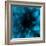 flower blue-Johan Lilja-Framed Giclee Print