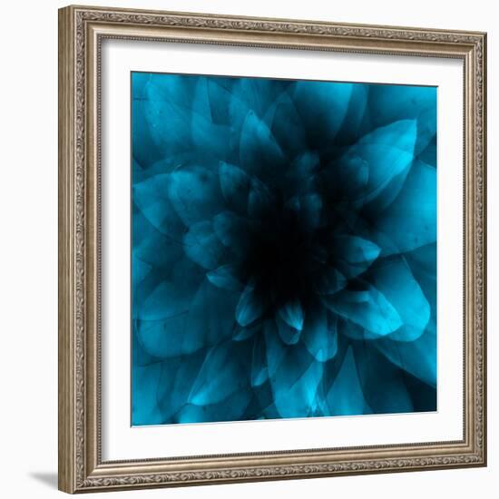 flower blue-Johan Lilja-Framed Giclee Print