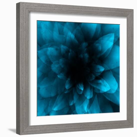 flower blue-Johan Lilja-Framed Giclee Print