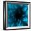 flower blue-Johan Lilja-Framed Giclee Print