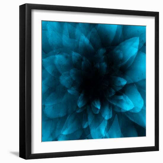 flower blue-Johan Lilja-Framed Giclee Print