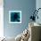 flower blue-Johan Lilja-Framed Giclee Print displayed on a wall