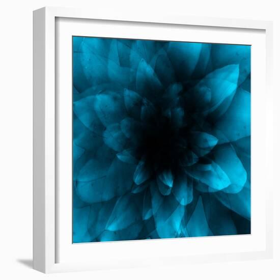 flower blue-Johan Lilja-Framed Giclee Print