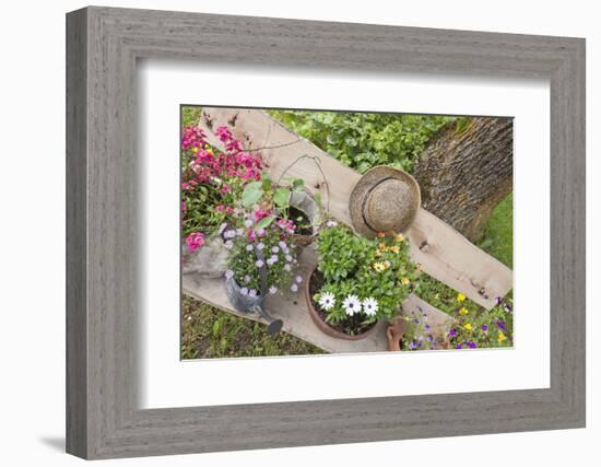 Flower bowls and straw hat on garden bench-Klaus Scholz-Framed Photographic Print