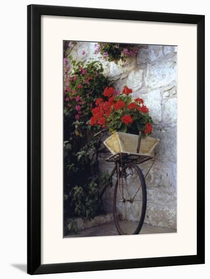 Flower Box Bike-Meg Mccomb-Framed Art Print