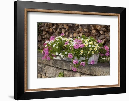 Flower Box-Chris Seba-Framed Photographic Print