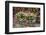 Flower Box-Chris Seba-Framed Photographic Print