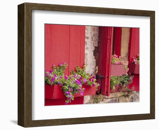 Flower Boxes on Storefronts, Savannah, Georgia, USA-Julie Eggers-Framed Photographic Print