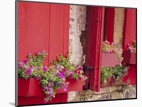 Flower Boxes on Storefronts, Savannah, Georgia, USA-Julie Eggers-Mounted Photographic Print