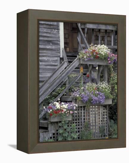 Flower Boxes on Whidbey Island, Washington, USA-William Sutton-Framed Premier Image Canvas
