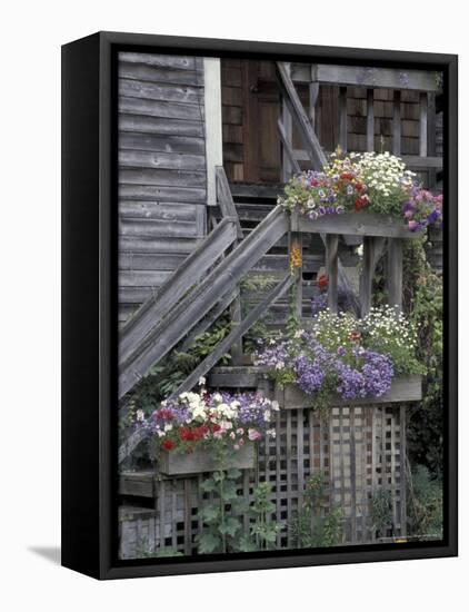 Flower Boxes on Whidbey Island, Washington, USA-William Sutton-Framed Premier Image Canvas