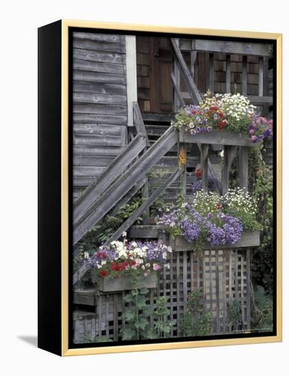 Flower Boxes on Whidbey Island, Washington, USA-William Sutton-Framed Premier Image Canvas