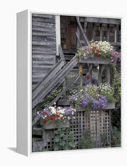 Flower Boxes on Whidbey Island, Washington, USA-William Sutton-Framed Premier Image Canvas