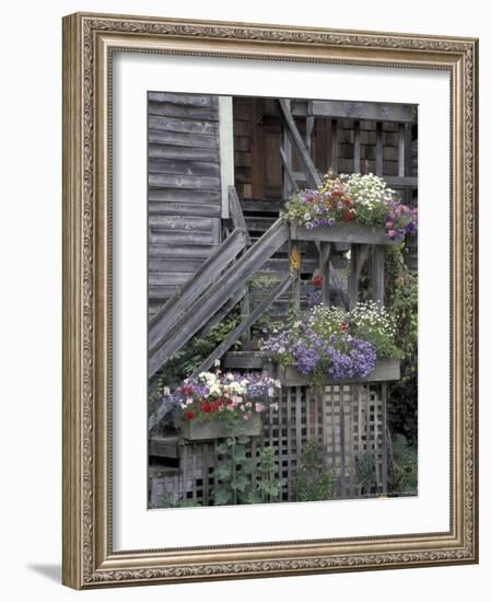 Flower Boxes on Whidbey Island, Washington, USA-William Sutton-Framed Photographic Print