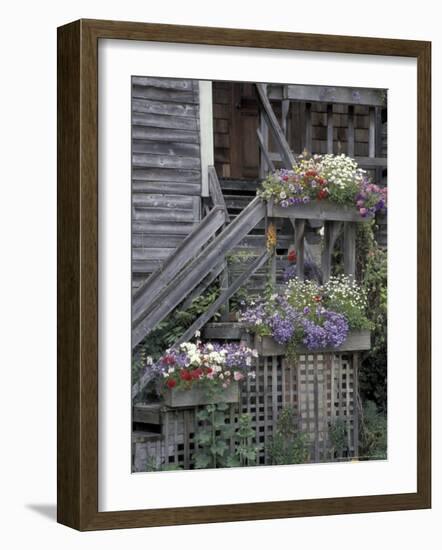 Flower Boxes on Whidbey Island, Washington, USA-William Sutton-Framed Photographic Print