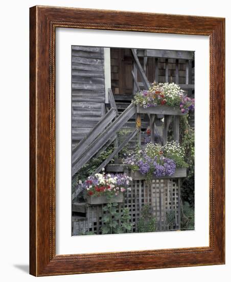 Flower Boxes on Whidbey Island, Washington, USA-William Sutton-Framed Photographic Print