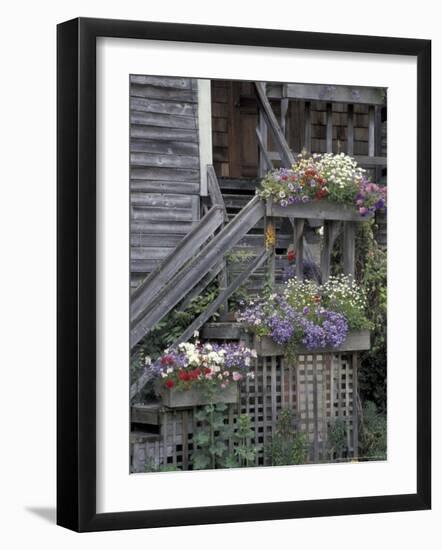 Flower Boxes on Whidbey Island, Washington, USA-William Sutton-Framed Photographic Print