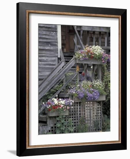 Flower Boxes on Whidbey Island, Washington, USA-William Sutton-Framed Photographic Print