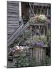 Flower Boxes on Whidbey Island, Washington, USA-William Sutton-Mounted Photographic Print