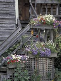 whidbey
