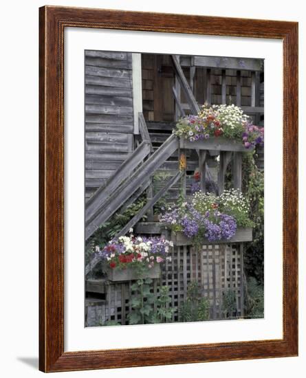 Flower Boxes on Whidbey Island, Washington, USA-William Sutton-Framed Photographic Print