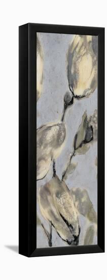 Flower Bud Triptych II-Jennifer Goldberger-Framed Stretched Canvas