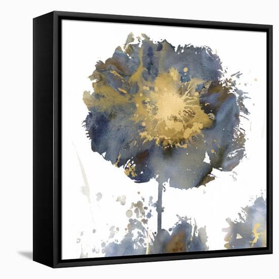 Flower Burst I-Vanessa Austin-Framed Stretched Canvas