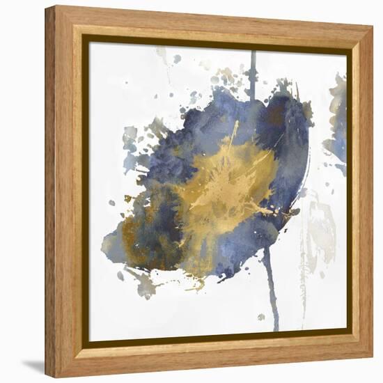 Flower Burst III-Vanessa Austin-Framed Stretched Canvas