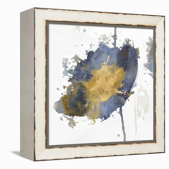 Flower Burst III-Vanessa Austin-Framed Stretched Canvas