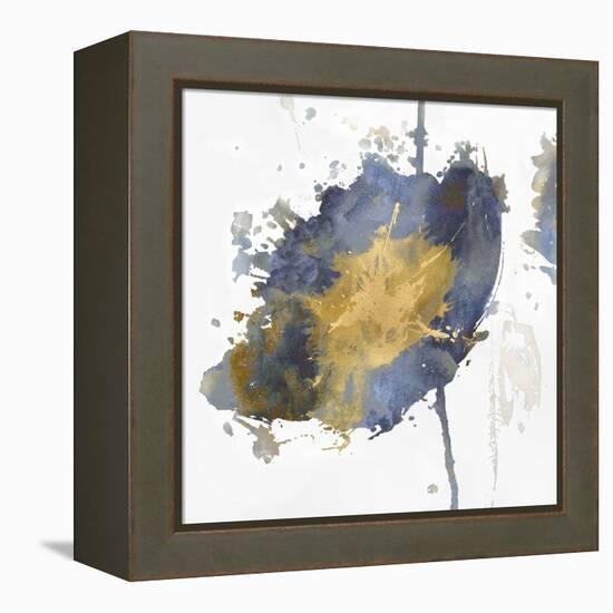 Flower Burst III-Vanessa Austin-Framed Stretched Canvas