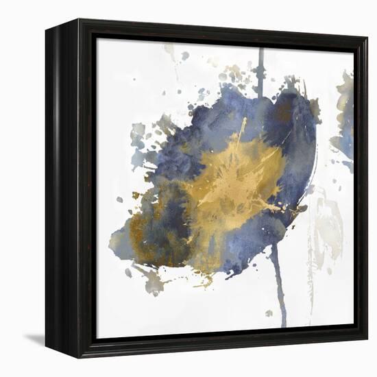 Flower Burst III-Vanessa Austin-Framed Stretched Canvas