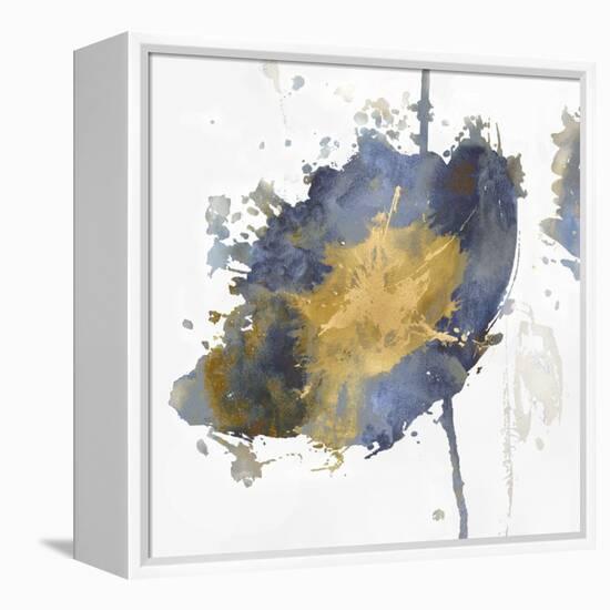 Flower Burst III-Vanessa Austin-Framed Stretched Canvas