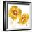 Flower Burst in Amber II-Vanessa Austin-Framed Art Print